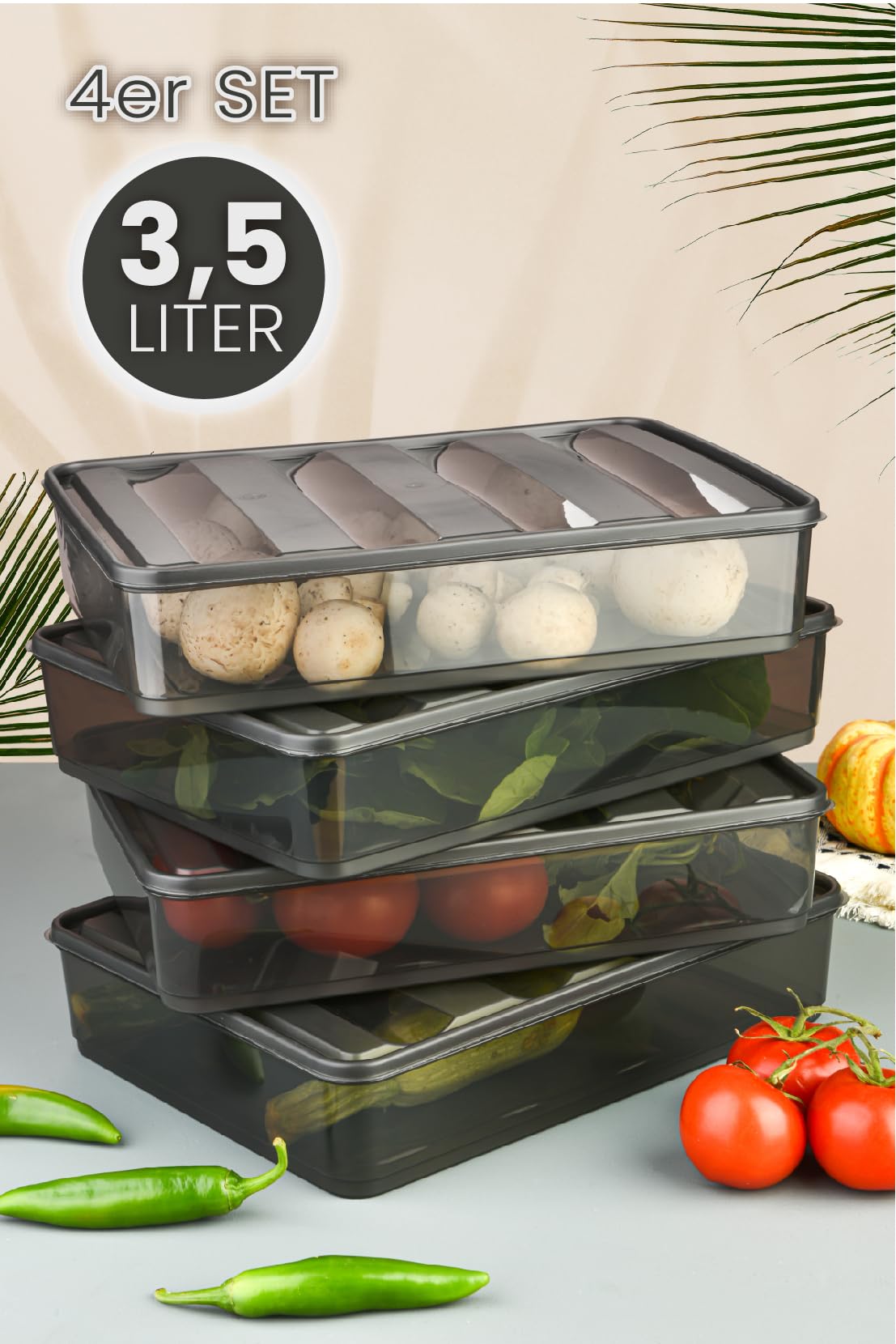 Viwares luftdichter Kühlschrank-Organizer mit Deckel 4er Set 3,5 L BELLA - Anthrazit