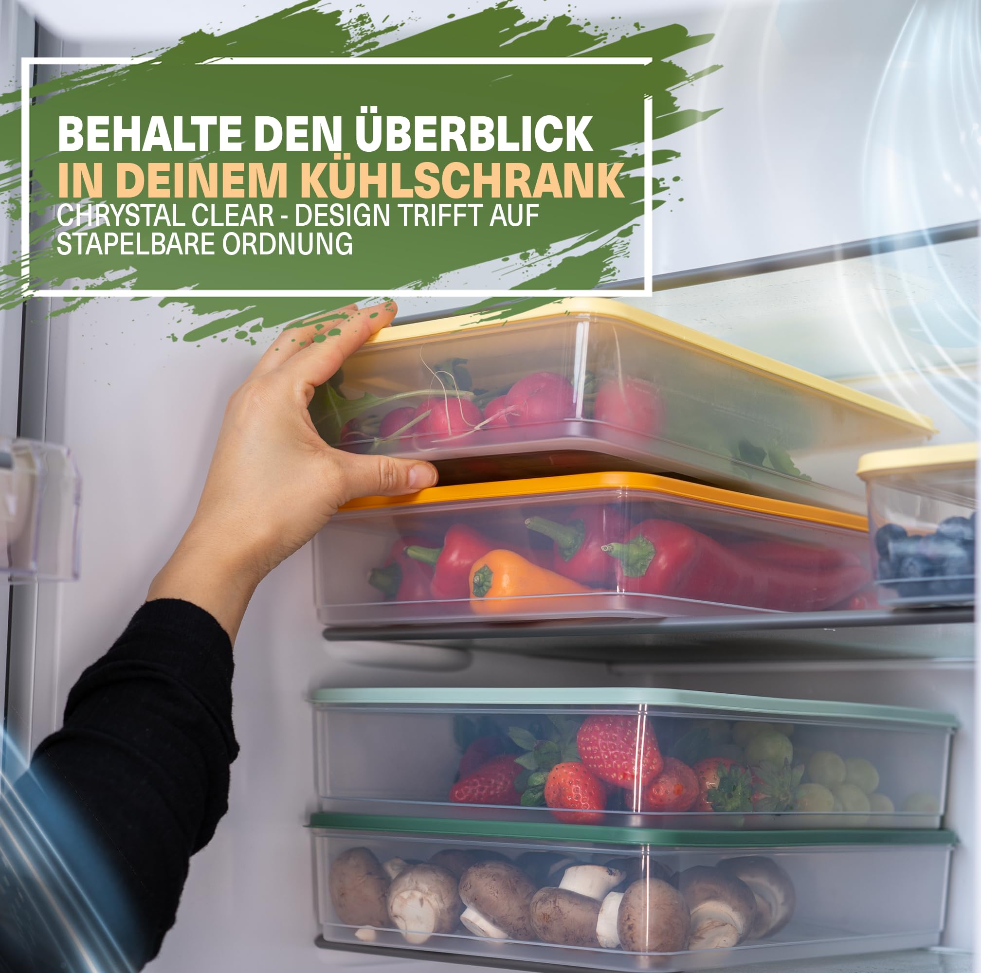 Viwares luftdichter Kühlschrank-Organizer mit Deckel 4er Set 3,5 L - BELLA Bunt