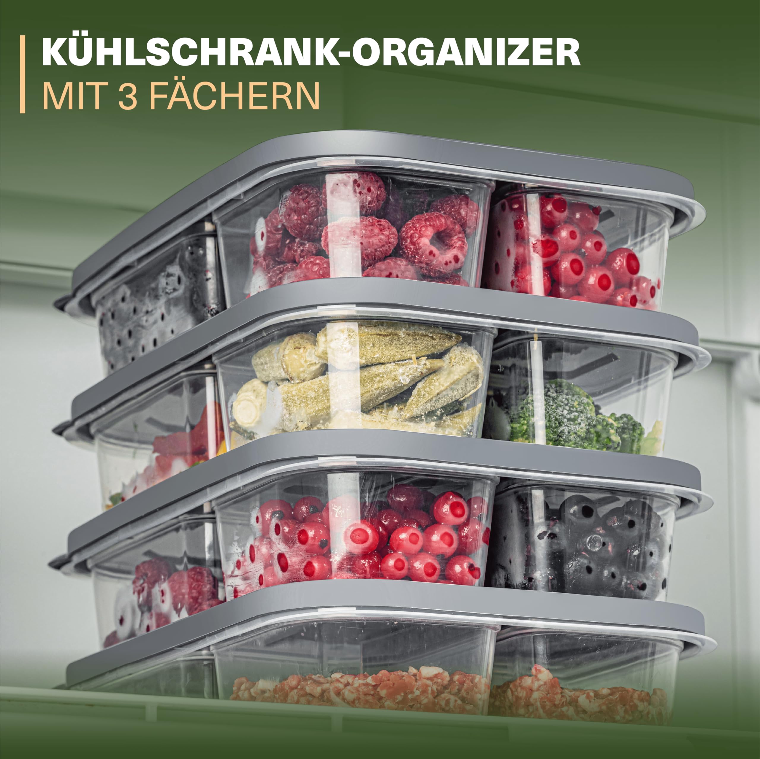 Viwares Frischhaltedosen-Set 6er mit Fächern – Meal Prep und Lunchboxen Normal
