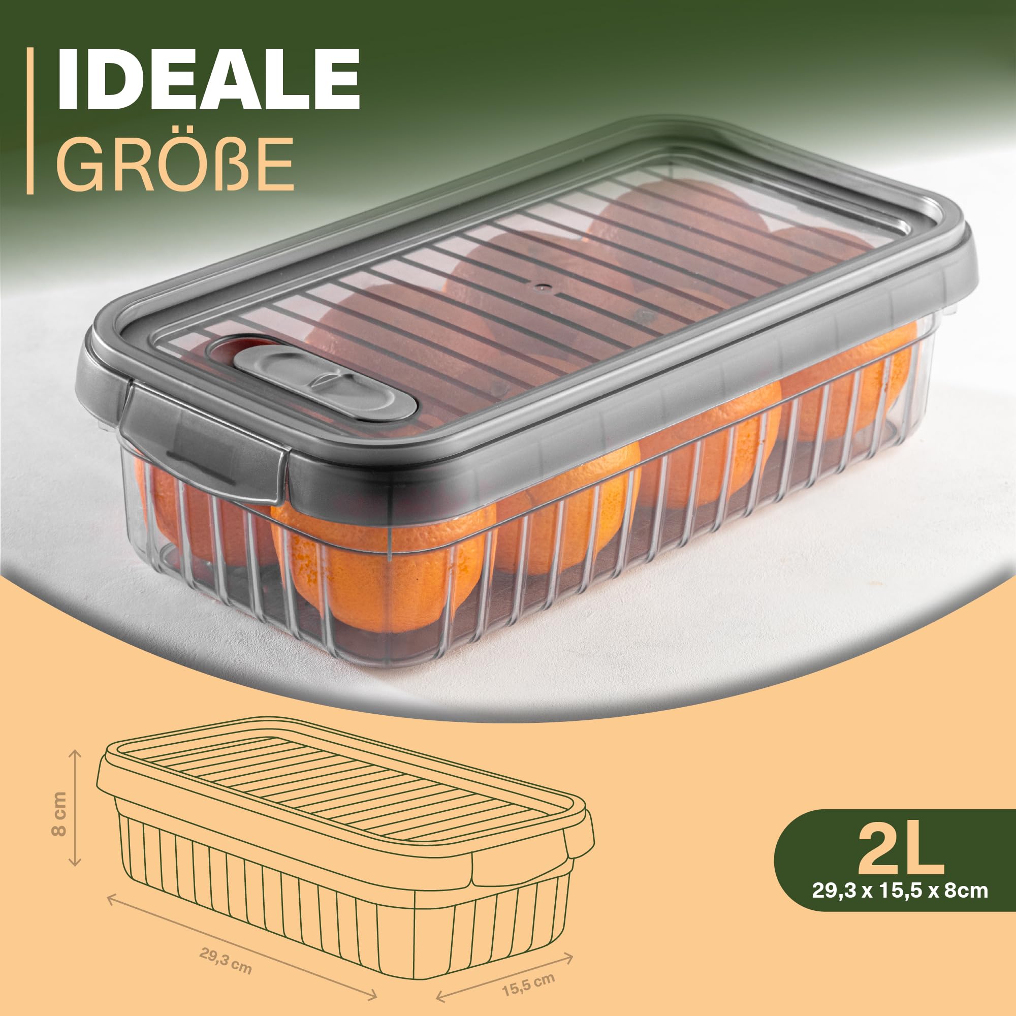 Viwares Frischhaltedosen 3er Set, 2L LEON SERIES