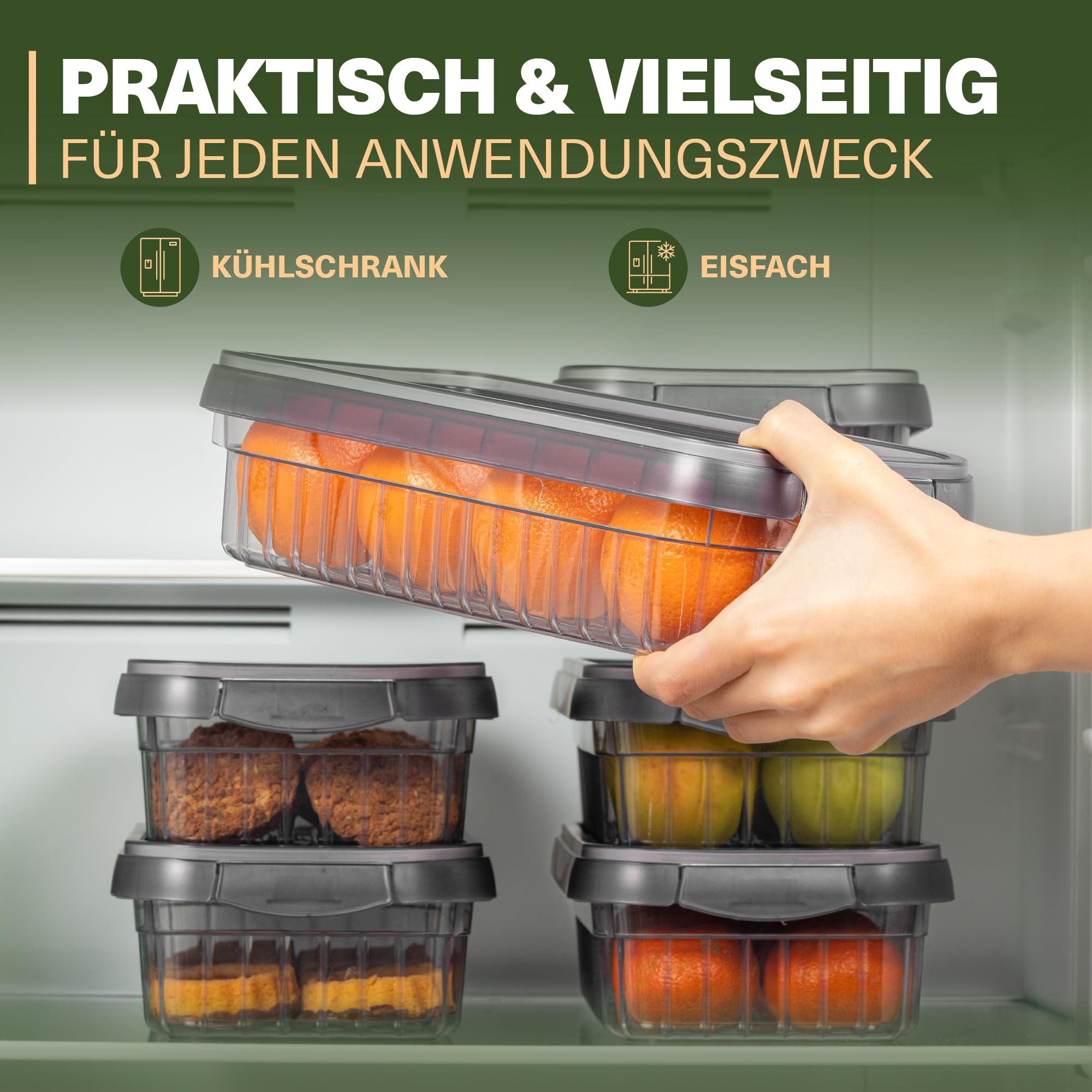 Viwares Frischhaltedosen 3er Set, 2L LEON SERIES