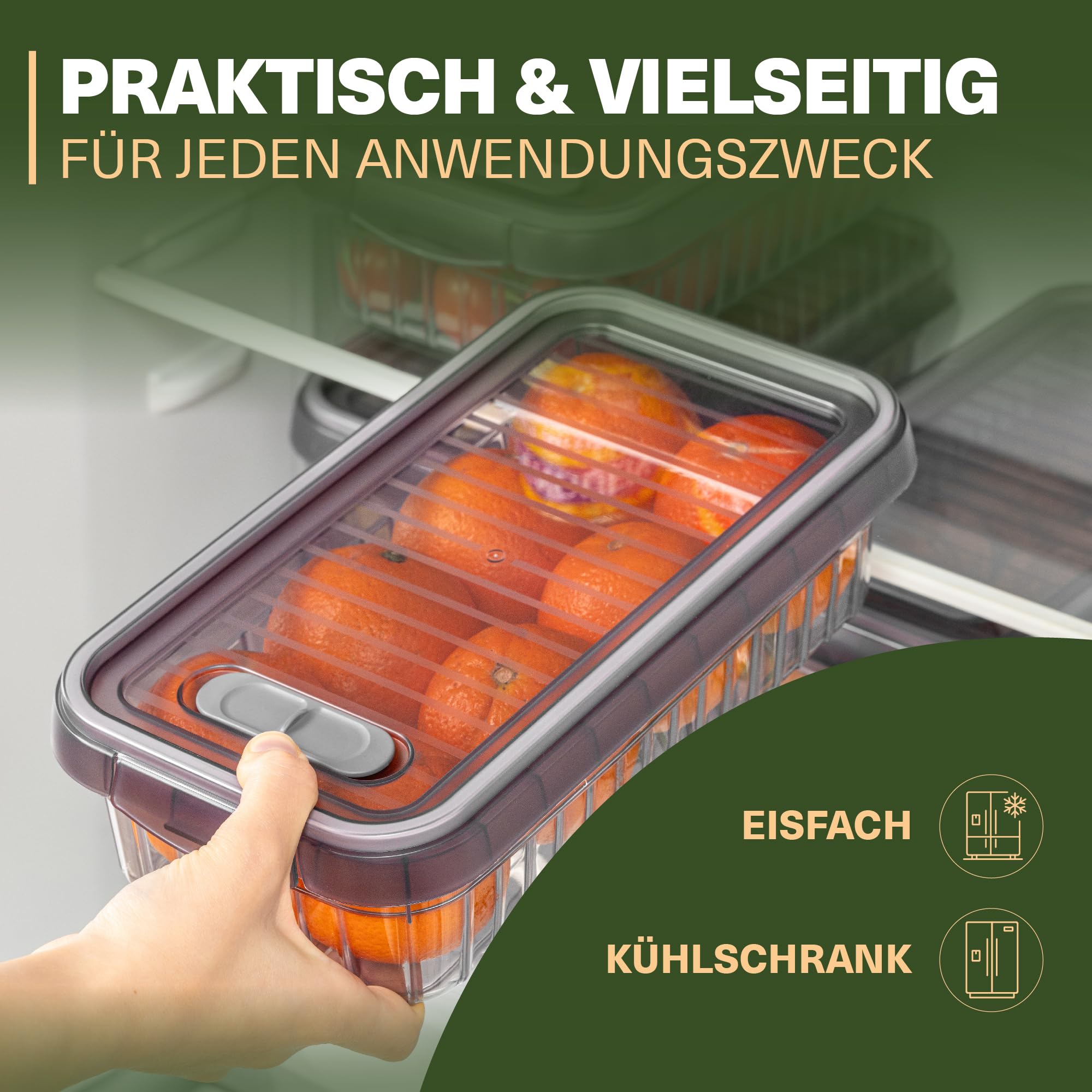 Viwares Frischhaltedosen 3er Set, 4L LEON SERIES
