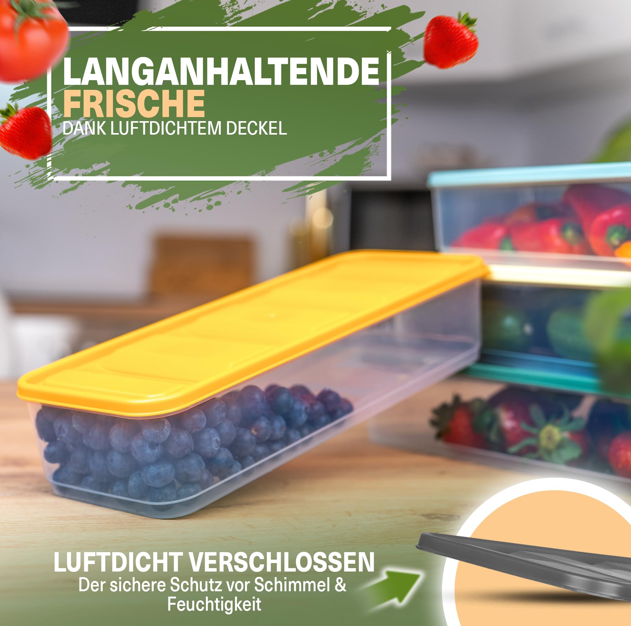 Viwares Frischhaltedosen für Käse und Wurst 4er-Set Bunt 1,65 L