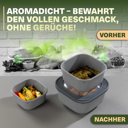 Viwares Frischhaltedosen im 9er Set mit Ventildeckel - Grau