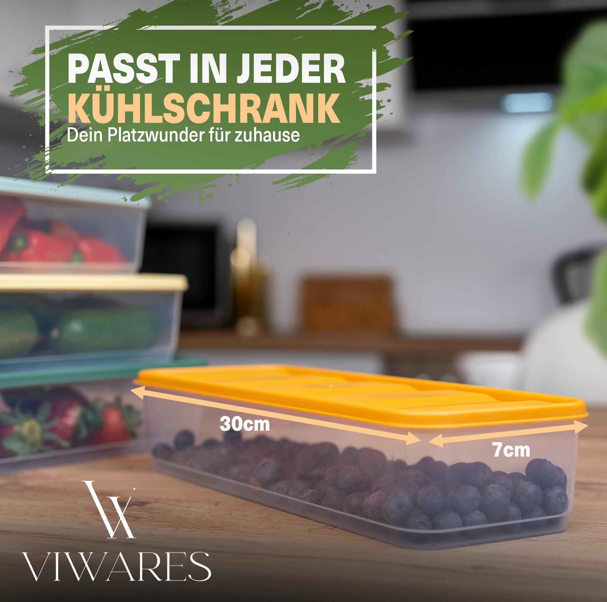 Viwares Frischhaltedosen für Käse und Wurst 4er-Set Bunt 1,65 L